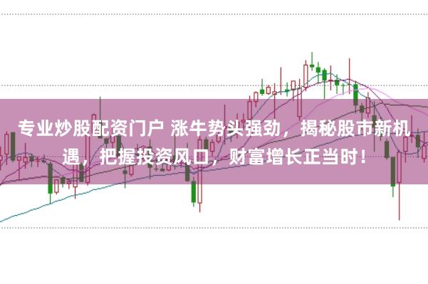 专业炒股配资门户 涨牛势头强劲，揭秘股市新机遇，把握投资风口，财富增长正当时！