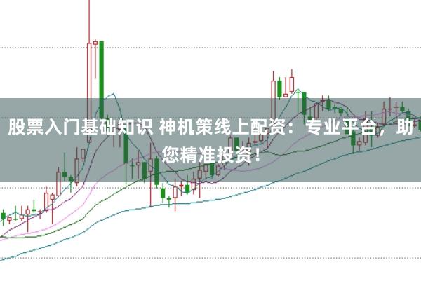 股票入门基础知识 神机策线上配资：专业平台，助您精准投资！