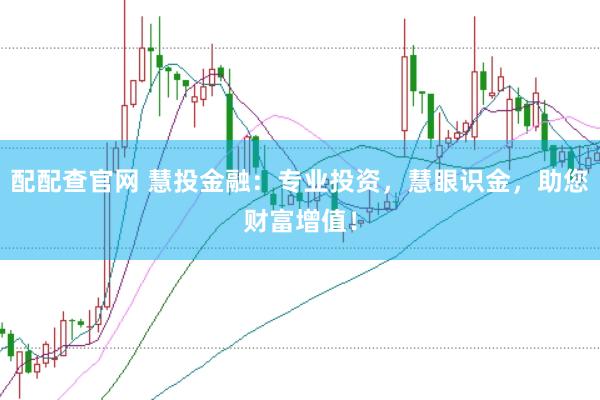 配配查官网 慧投金融：专业投资，慧眼识金，助您财富增值！