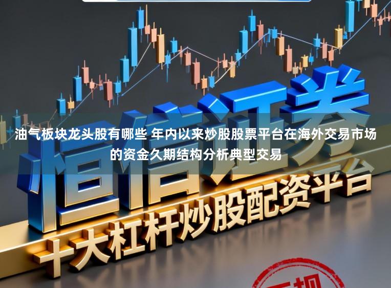 油气板块龙头股有哪些 年内以来炒股股票平台在海外交易市场的资金久期结构分析典型交易
