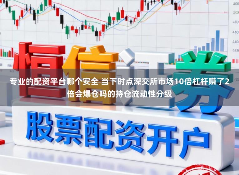 专业的配资平台哪个安全 当下时点深交所市场10倍杠杆赚了2倍会爆仓吗的持仓流动性分级