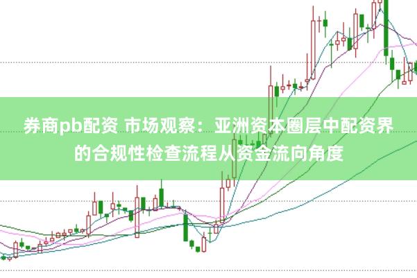 券商pb配资 市场观察：亚洲资本圈层中配资界的合规性检查流程从资金流向角度