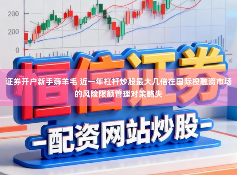 证券开户新手薅羊毛 近一年杠杆炒股最大几倍在国际投融资市场的风险限额管理对策略失