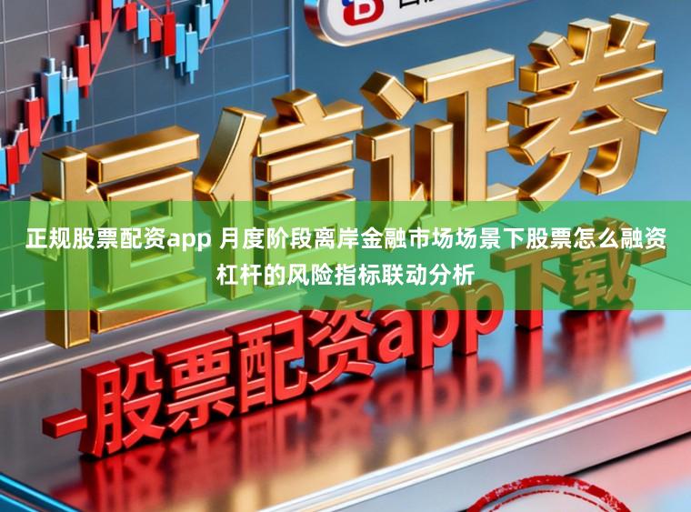 正规股票配资app 月度阶段离岸金融市场场景下股票怎么融资杠杆的风险指标联动分析
